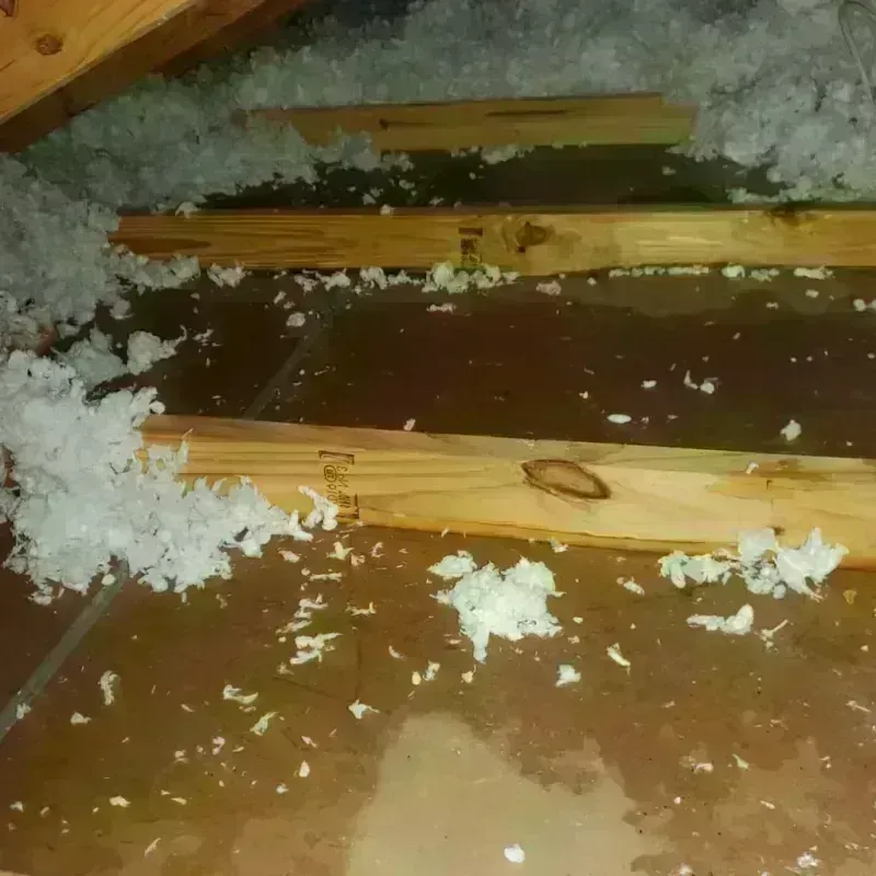 Attic Water Damage in Macedonia, OH