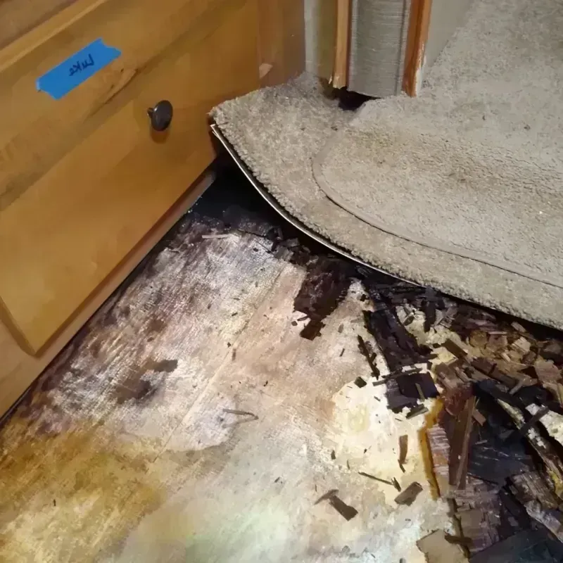 Wood Floor Water Damage in Macedonia, OH